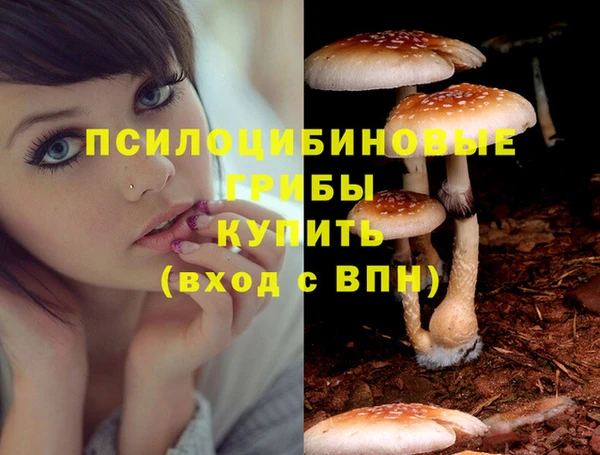 гашишное масло Алексеевка