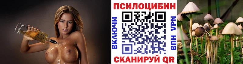 Псилоцибиновые грибы мицелий  цена наркотик  Инсар 